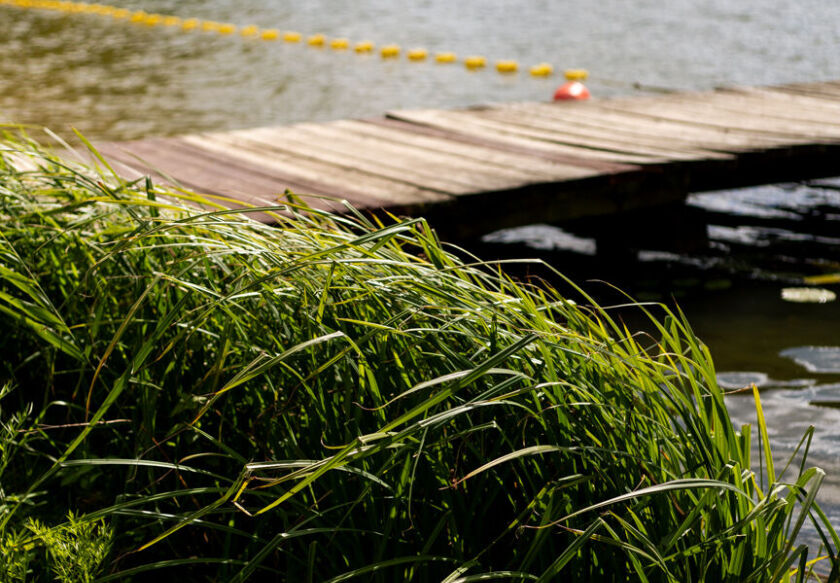 Ośrodek Wypoczynkowy w Świerkocinie 100