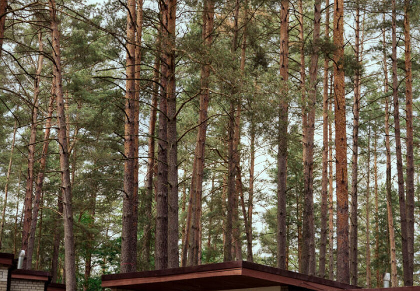 Ośrodek Wypoczynkowy w Świerkocinie 122