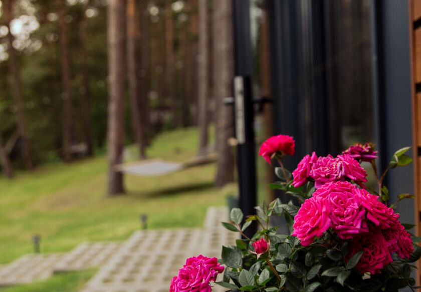 Ośrodek Wypoczynkowy w Świerkocinie 134