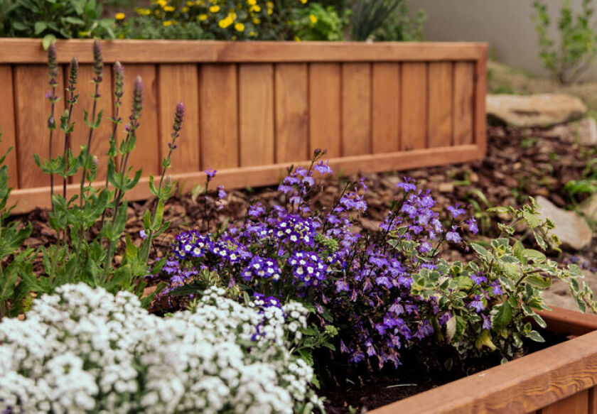 Ośrodek Wypoczynkowy w Świerkocinie 137