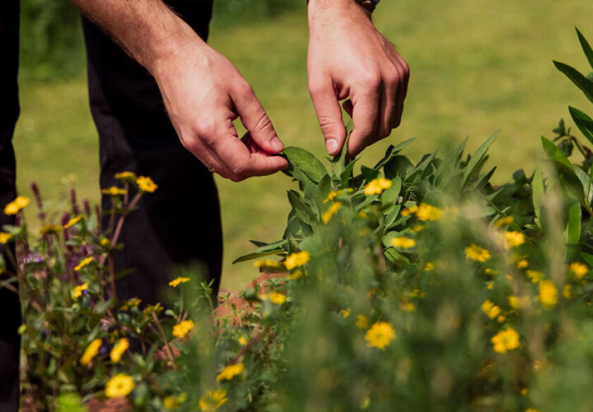 Ośrodek Wypoczynkowy w Świerkocinie 145