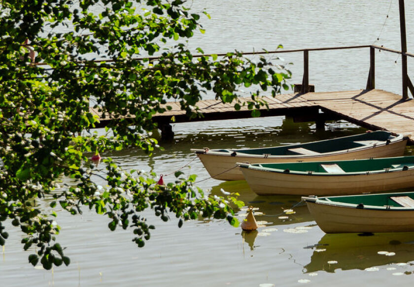 Ośrodek Wypoczynkowy w Świerkocinie 153