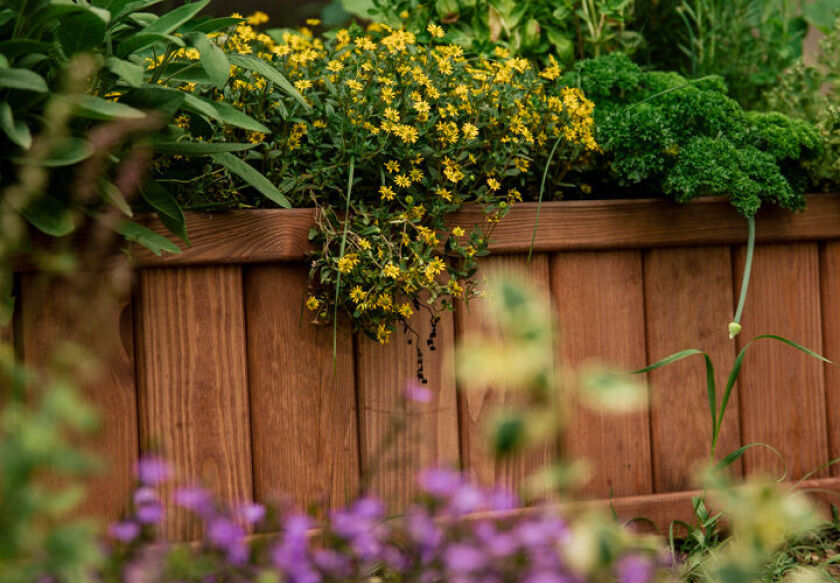 Ośrodek Wypoczynkowy w Świerkocinie 164