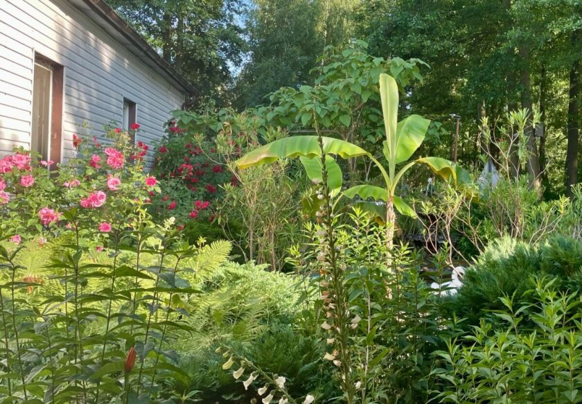 Ośrodek Wypoczynkowy ZACISZE 14