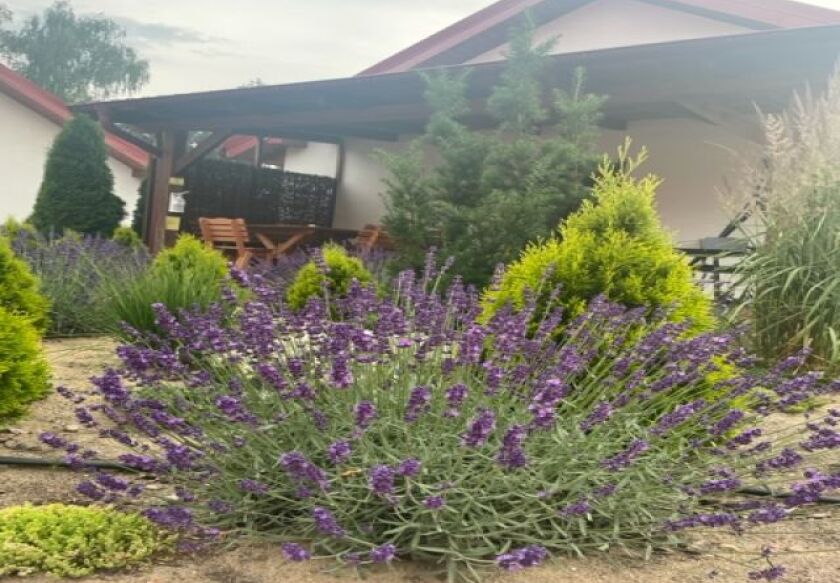 Ośrodek Wypoczynkowy Zielony Zakątek w Szydł&oacute;wcu 26