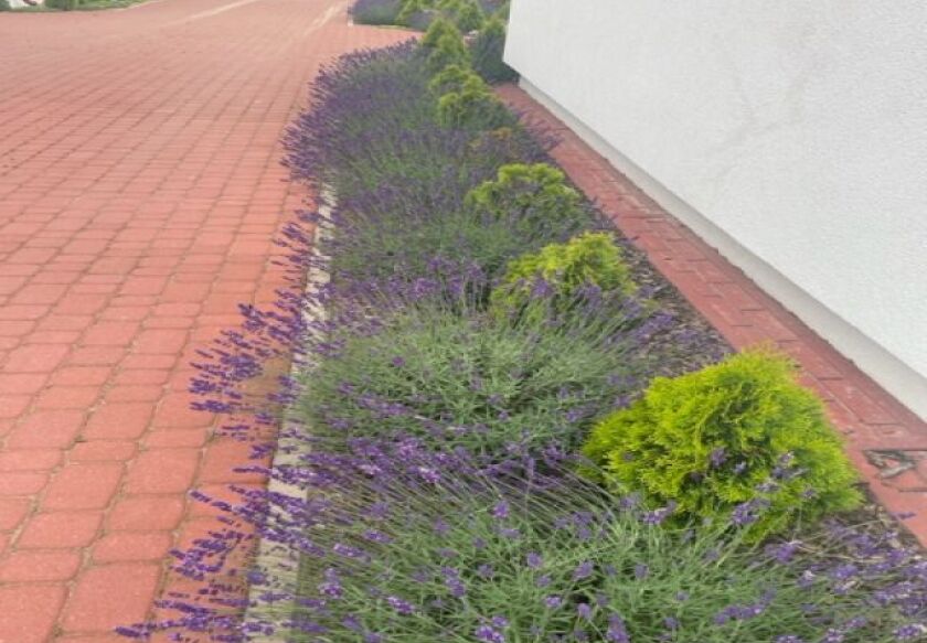 Ośrodek Wypoczynkowy Zielony Zakątek w Szydł&oacute;wcu 28