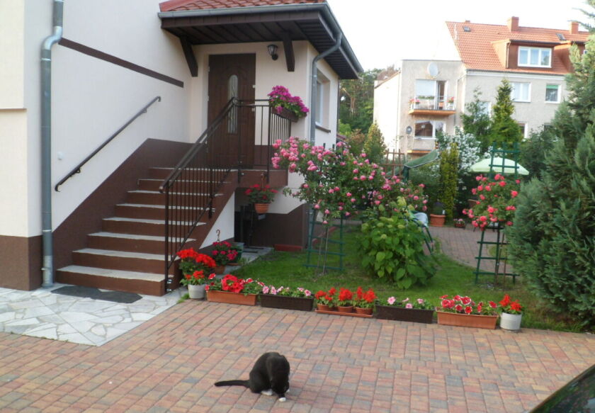 Pokoje gościnne BLANKA 6