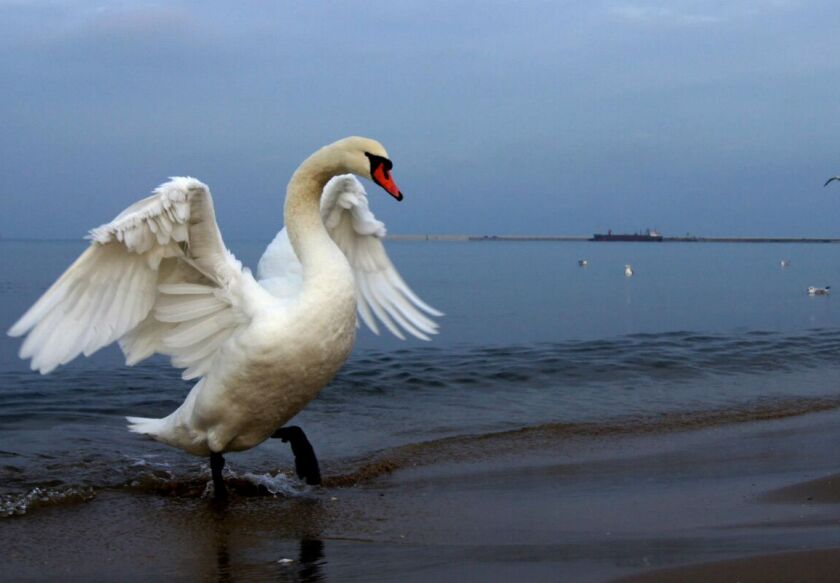 Pokoje gościnne BLANKA 44