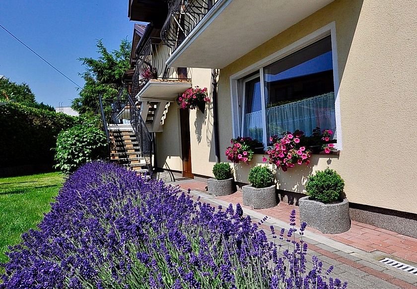 Pokoje Gościnne Doris 5