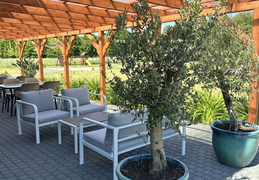 Pokoje Gościnne Kameralnie 29