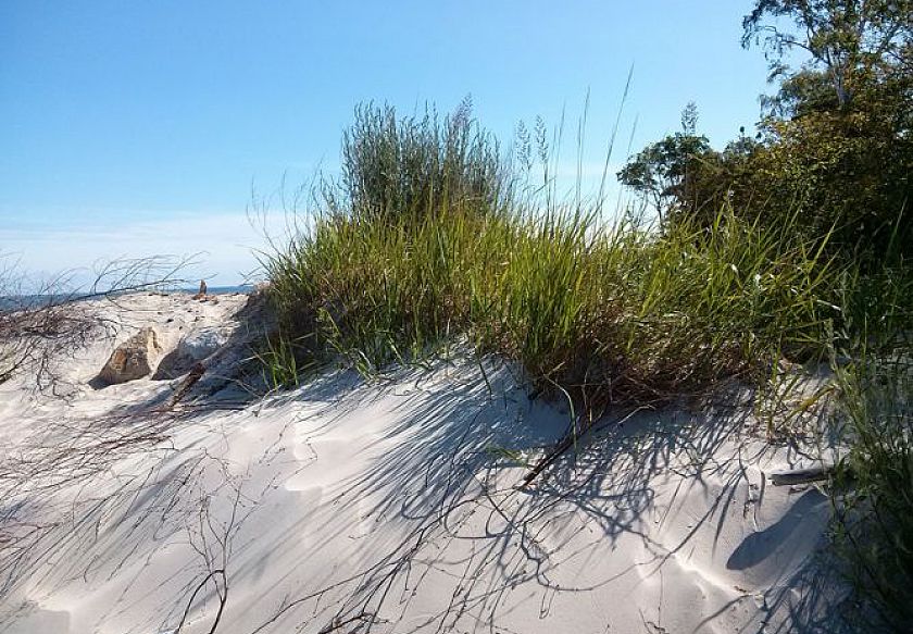 Pokoje Gościnne MAWI Dźwirzyno Małgorzata Rogoża 36