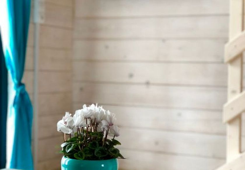 Sarbin&oacute;wka 23 10