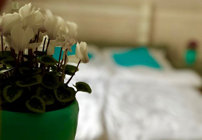 Sarbin&oacute;wka 23 23