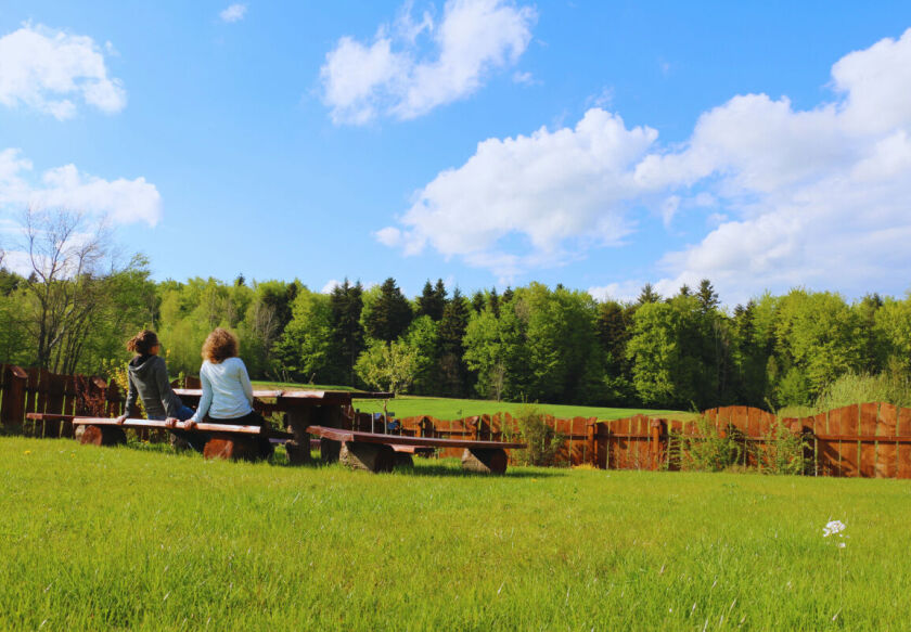 Siedlisko Carownica Family & Wellness 5