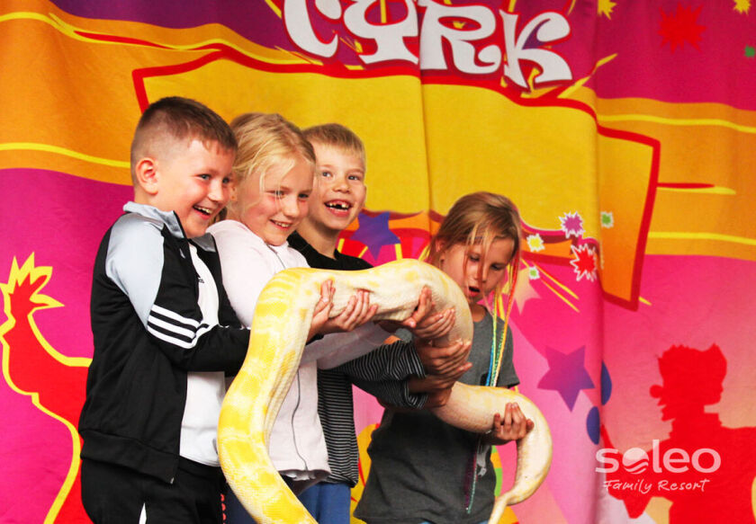 SOLEO Family Resort 61