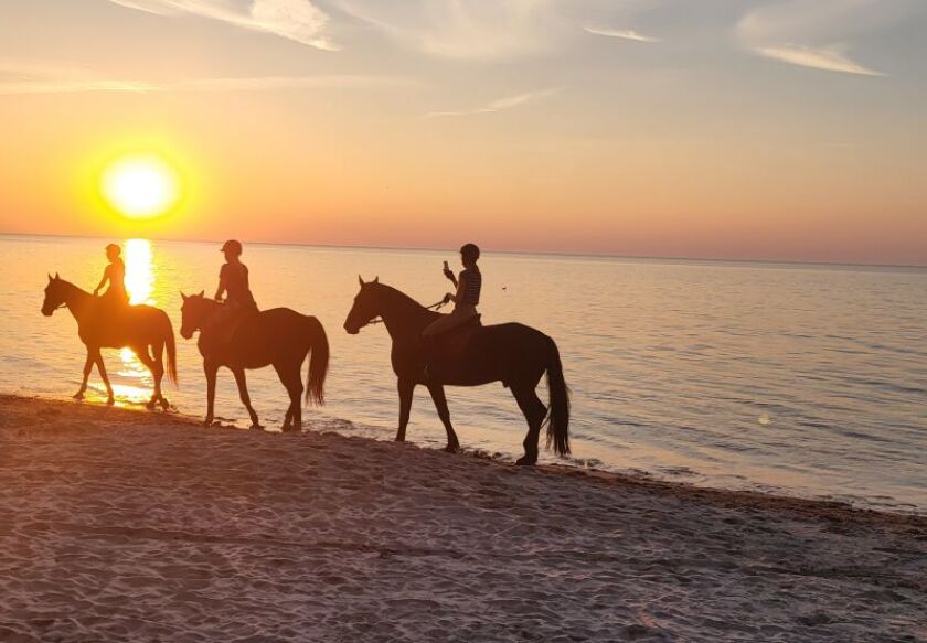 Sunny Baltic domki nad morzem 29