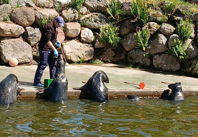 Sunny Baltic domki nad morzem 36