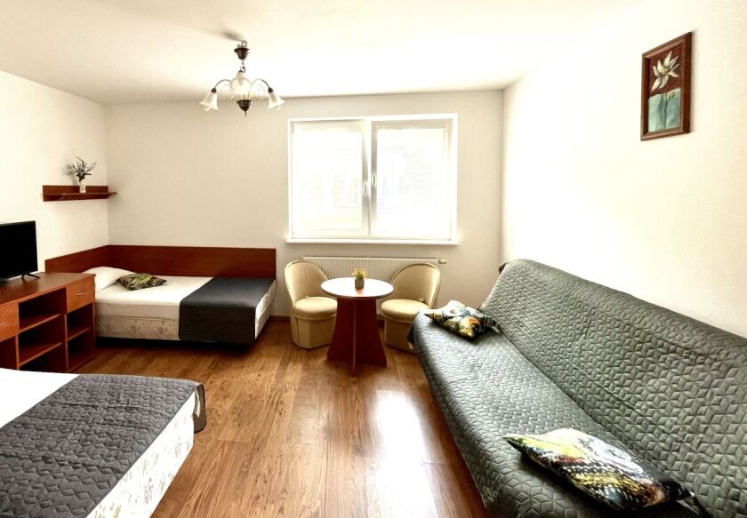 VILLA PARK blisko morza 15