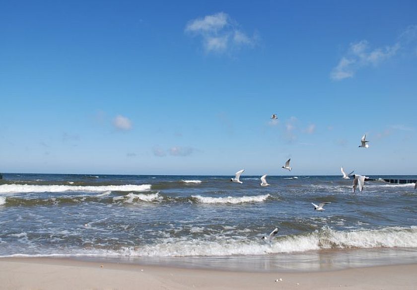 VILLA PARK blisko morza 56