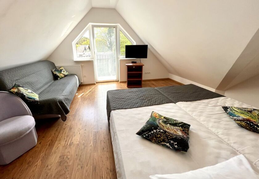 VILLA PARK blisko morza 43