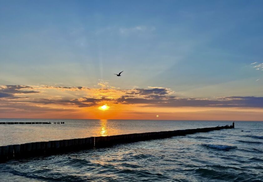 VILLA PARK blisko morza 59