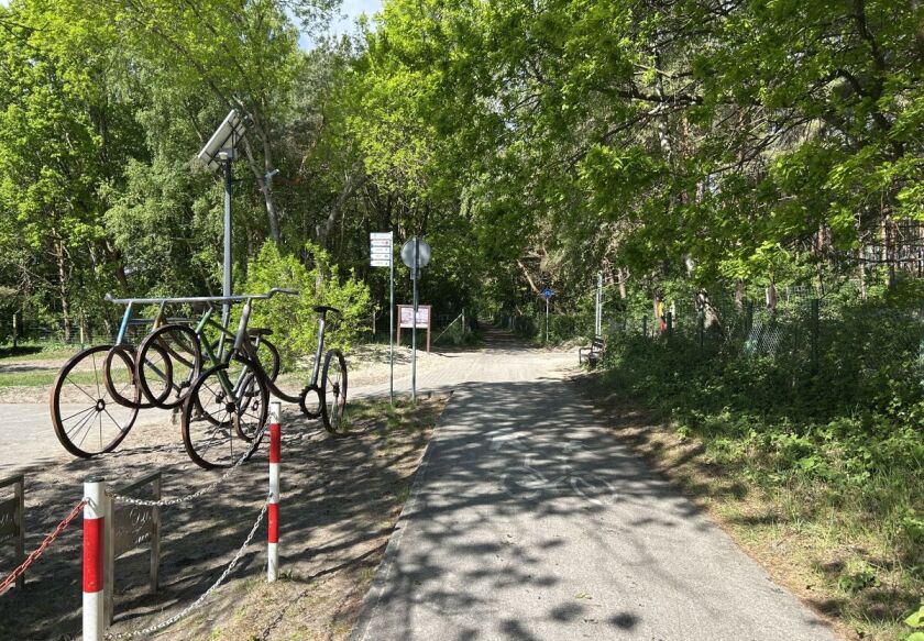 VILLA VIOLETTA - domki i apartamenty 23