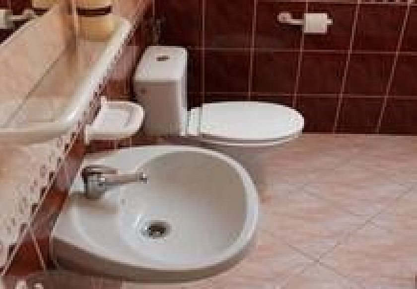 WILLA I DOMKI POD DĘBAMI 4